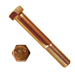 HEX CAP SCREW SILICON BRONZE